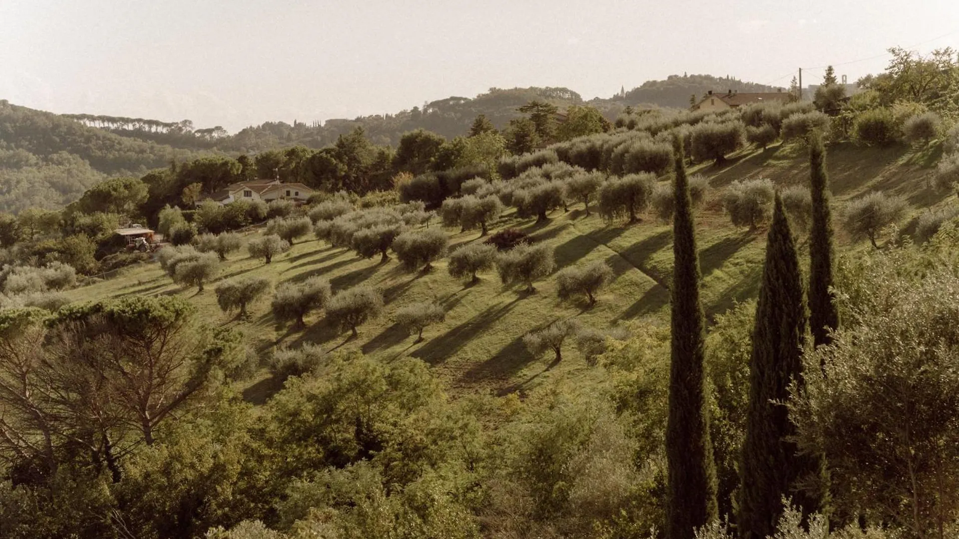 Alloggio per agriturismo Agriturismo San Felicissimo Perugia Italia