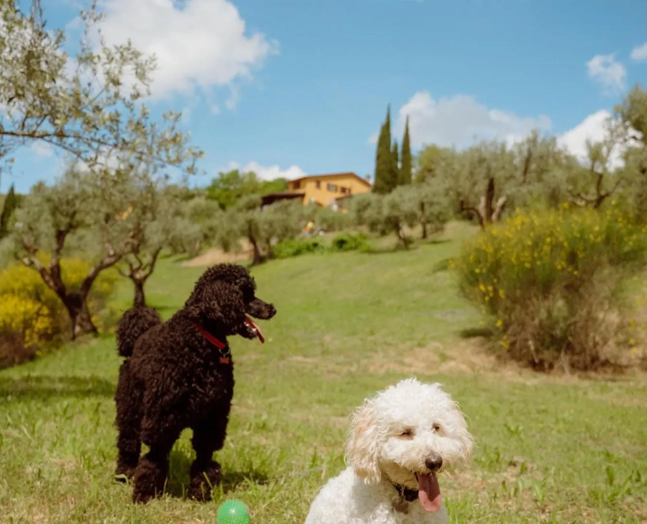 Agriturismo San Felicissimo Perugia 0*,  Italia